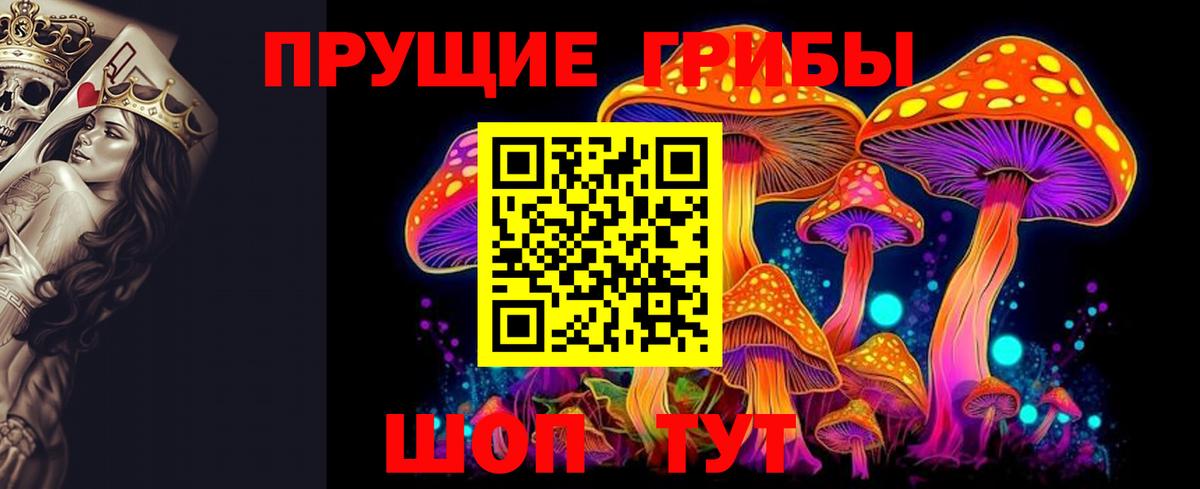 Псилоцибиновые грибы GOLDEN TEACHER Киселёвск